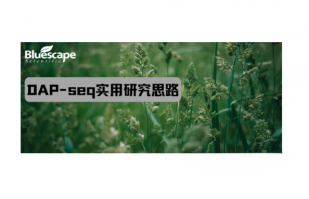 DAP-seq实用研究思路助力植物转录调控研究
