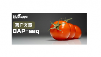 Hortic Res（IF=8.5）▏DAP-seq助力解析SlbHLH70调控番茄耐旱性的分子机制