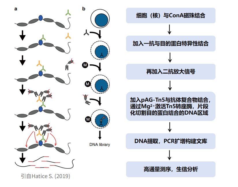 WPS图片.png