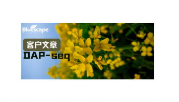 Advanced Science（IF=14.1）▏DAP-seq助力解析BnJAM3介导BnTFL1调控甘蓝型油菜种子糖转运与油脂合成的机制
