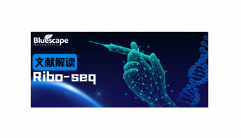 Ribo-seq文献 | 人脑中RNA翻译的发育动力学