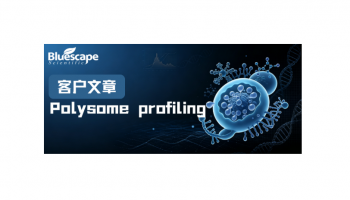 PNAS(IF：10.6) 2026|Polysome profiling助力解析Aurora-A相分离介导肝癌索拉非尼耐药机制