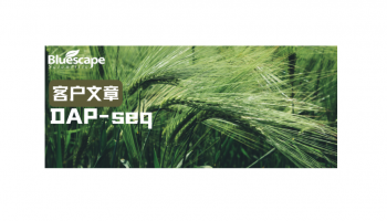 J Integr Plant Biol（IF=9.3）|DAP-seq助力揭示多年生黑麦草LpMYBR1调控叶色的分子机制