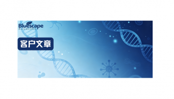 Nature Oncogene(IF：9.1) 2026|Ribo-seq与Polysome profiling联合构建OCCC翻译全景，揭示RBM4介导的翻译调控促癌新机制