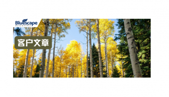 Plant Physiology（IF=8.2）|Dual-LUC助力揭示miR169y-PtrNFYA6-PtrNCEDs模块调控杨树ABA合成与抗旱性的新机制