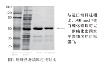 捕获3.PNG