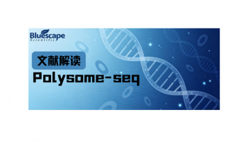Polysome-seq文章解读 | RNH1-ANG协同调节造血细胞与非造血细胞的全局翻译，揭示细胞类型特异性的翻译调控新机制