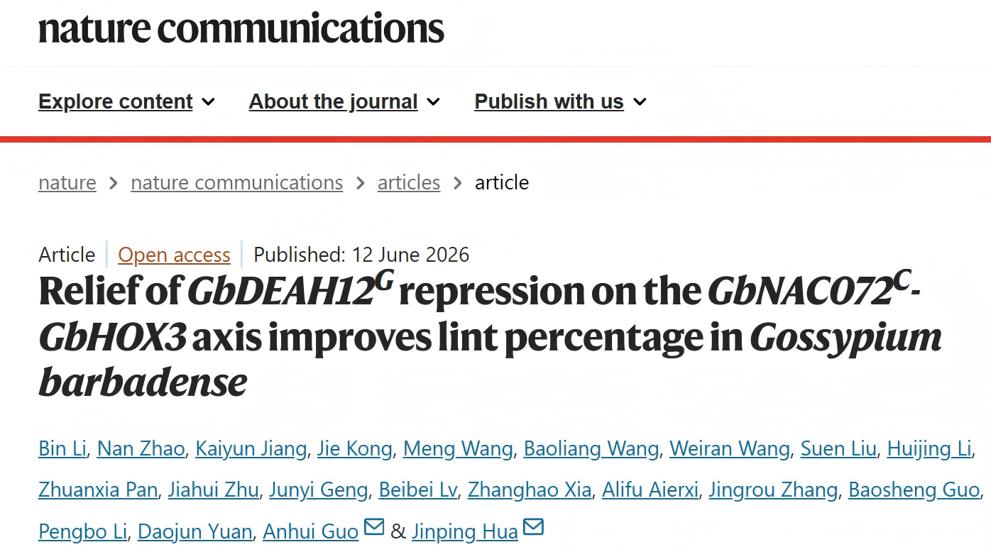 170052168987.png WPS图片.png