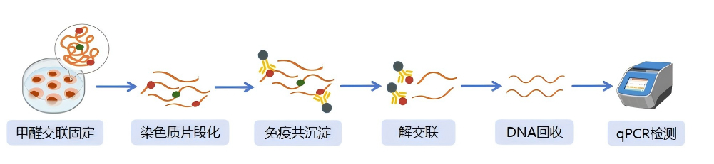 143857426032.png 一.png