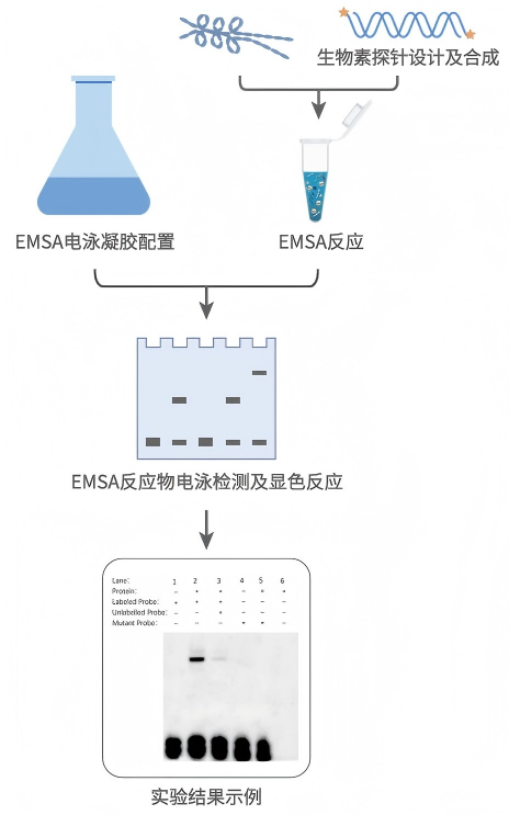 144031589196.png 三.png