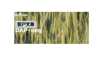 PLOS Genetics（IF=3.9）|DAP-seq助力揭示TaWRKY58介导小麦生长及干旱胁迫应答的分子调控机制