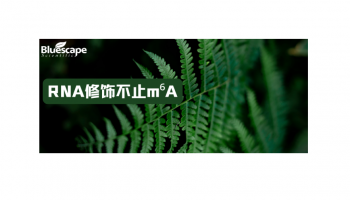 RNA修饰不止m⁶A｜Nature Plants重磅综述解锁植物6类非m⁶A修饰如何重塑发育与逆境响应