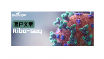 PLOS Pathogens（IF=4.9）2026|双链RNA病毒反义链微蛋白调控抗病毒免疫